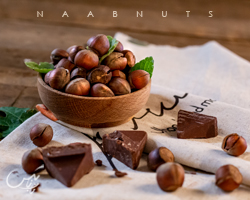 فندق